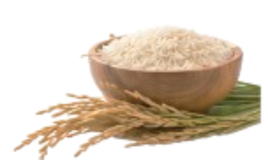 Rice Mill ERP